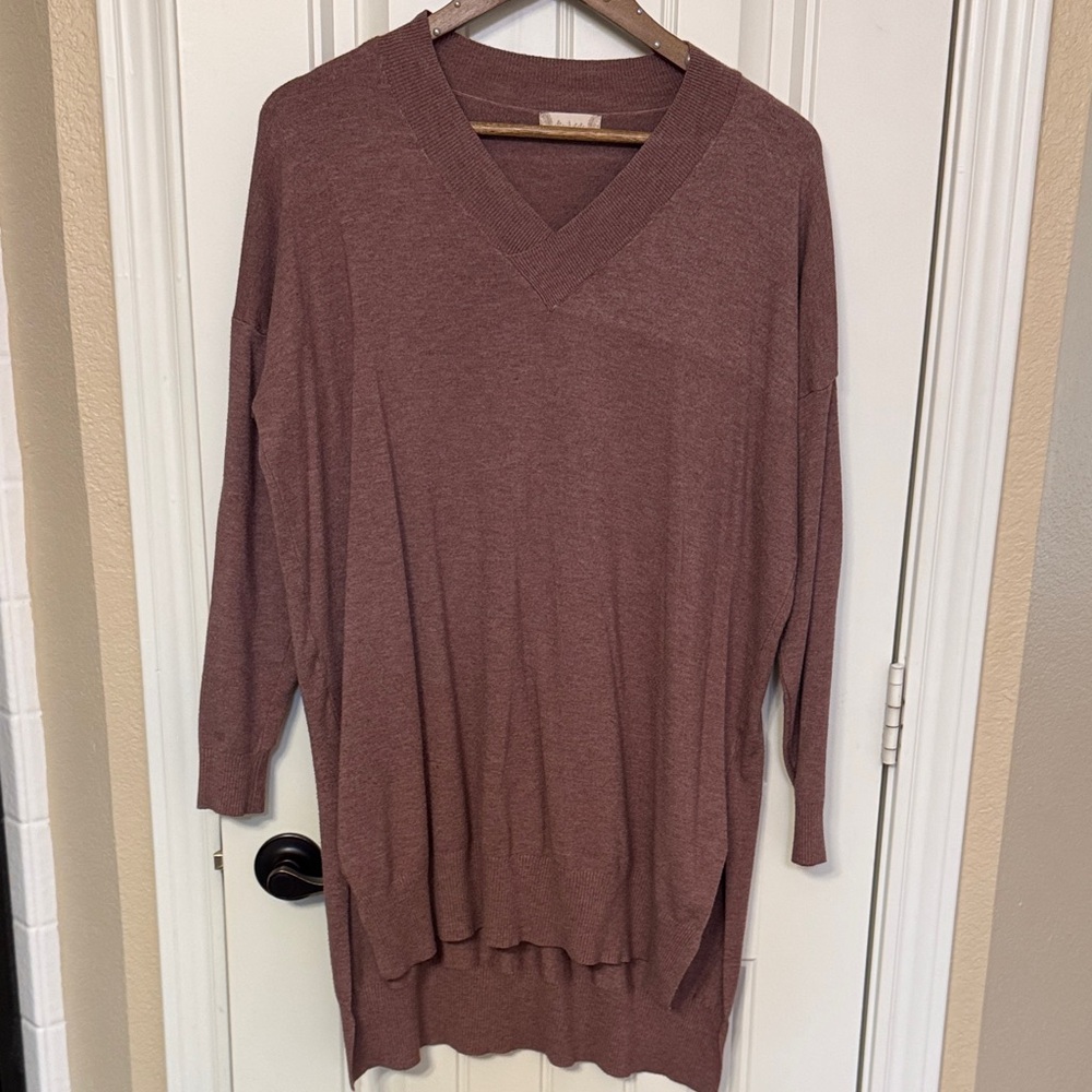 Altard State V-Neck Mauve Sweater S/M